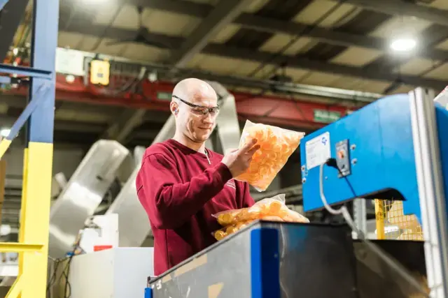 Worker in safety goggles and maroon sweater inspects packaged goods on an assembly line in a factory setting.